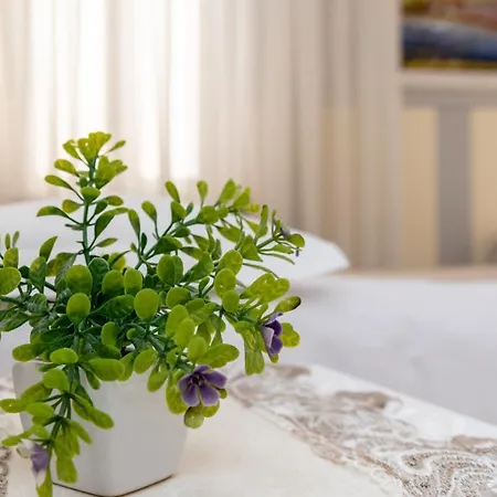 Bed & Breakfast Accademia 2*