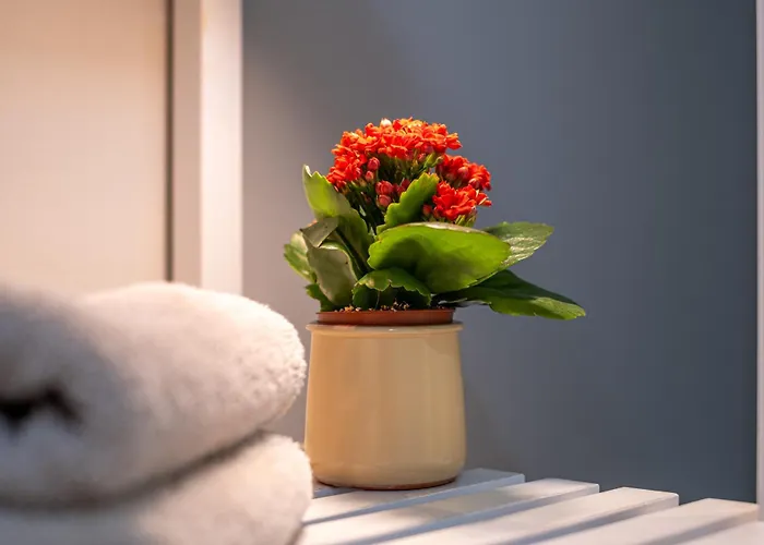 Accademia 3* Верона